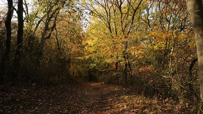 Wetterbild (Foto: agl) Wetterbild (Foto: agl)