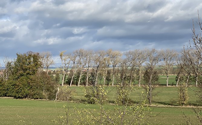 K&uuml;hle Temperaturen sind ab morgen angesagt (Foto: oas)