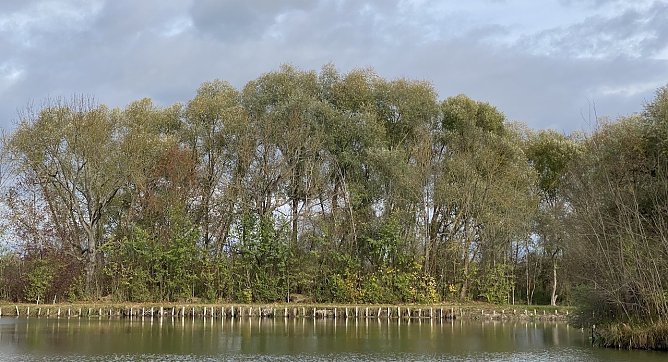 Böhmenteich Bad Langensalza (Foto: oas) Böhmenteich Bad Langensalza (Foto: oas)