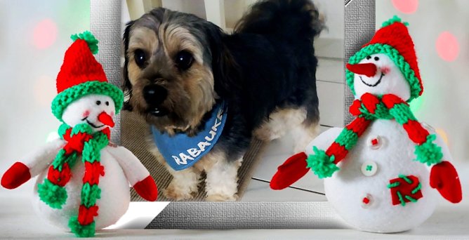 Der kleine Schatz Toni (Foto: Familie Lauterbach aus Sondershausen)