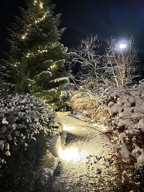 Momentaufnahme "Winterliche Grüße" (Foto: Familie Isleif) Momentaufnahme "Winterliche Grüße" (Foto: Familie Isleif)