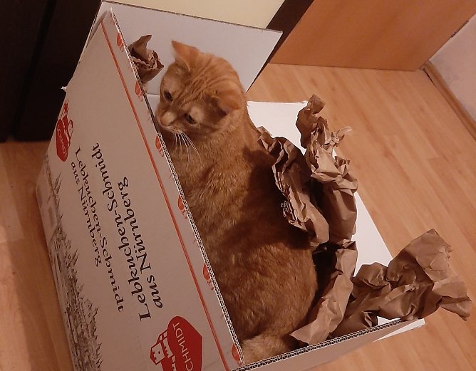 Leckere Lebkuchen (Foto: Diana aus Nordhausen)