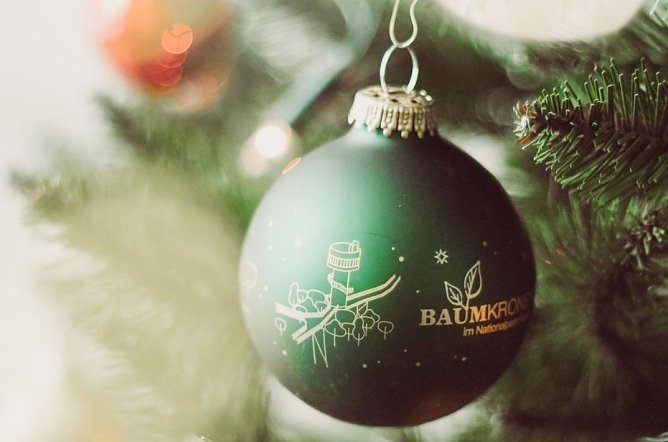 Baumkugeln im Bad-Langensalza-Flair (Foto: KTL) Baumkugeln im Bad-Langensalza-Flair (Foto: KTL)