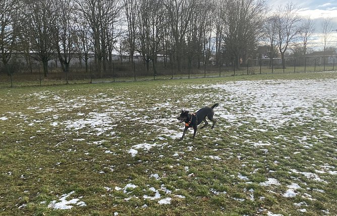 Kommt der Winter auch bald ins Flachland zur&uuml;ck? (Foto: oas)