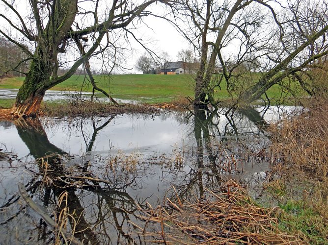 Intakte Auelandschaft (Foto: Marcus Orlamünder) Intakte Auelandschaft (Foto: Marcus Orlamünder)