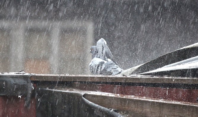 Windig und kräftige Gewitter (Foto: emw) Windig und kräftige Gewitter (Foto: emw)
