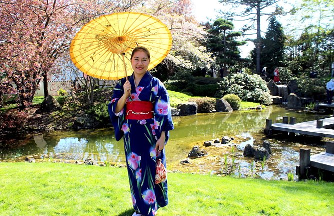 Japanisches Kirschbl&uuml;tenfest Hanami in Bad Langensalza (2023) (Foto: Eva Maria Wiegand)