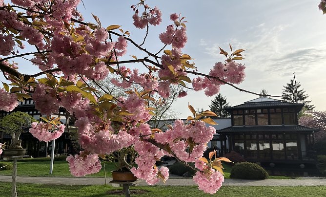 Deutliche Abk&uuml;hlung in den n&auml;chsten Tagen (Foto: oas)