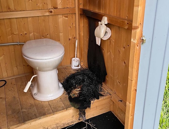 Brandstiftung in Mehrstedt (Foto: Silvio Dietzel)