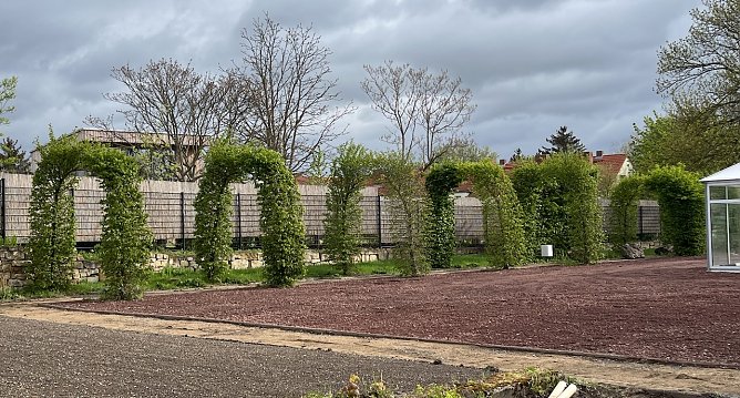 Wird am Mittwoch wieder er&ouml;ffnet: Der Botanische Garten in Bad Langensalza (Foto: oas)