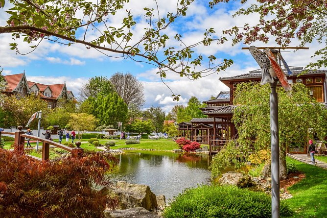 Koi Nobori im japanischen Garten in Bad Langensalza (Foto: KTL Bad Langensalza) Koi Nobori im japanischen Garten in Bad Langensalza (Foto: KTL Bad Langensalza)