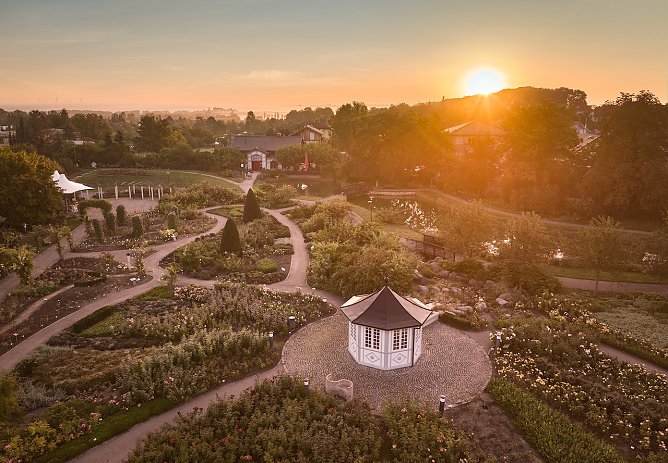 Der Rosengarten in Bad Langensalza in seiner vollen Pracht (Foto: Tino Sieland) Der Rosengarten in Bad Langensalza in seiner vollen Pracht (Foto: Tino Sieland)