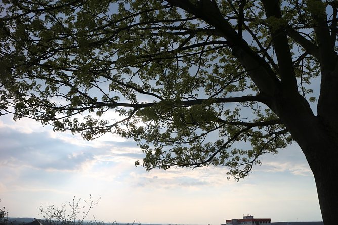 Wetterbild (Foto: agl)