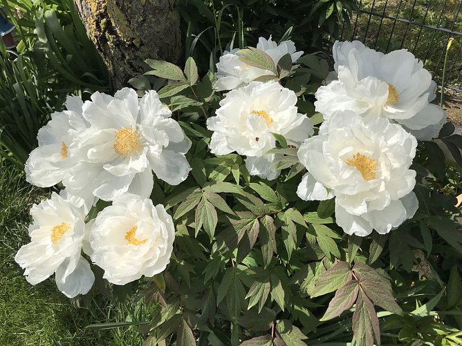 Wetterbild (Foto: agl) Wetterbild (Foto: agl)