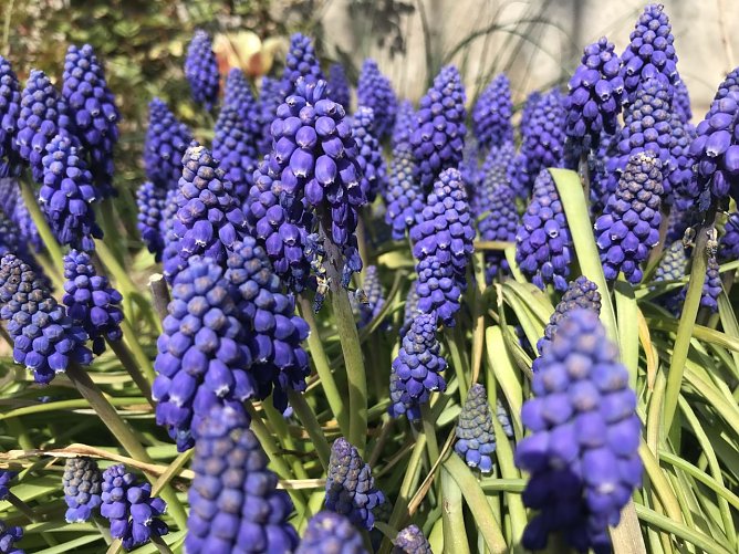 Wetterbild (Foto: agl) Wetterbild (Foto: agl)