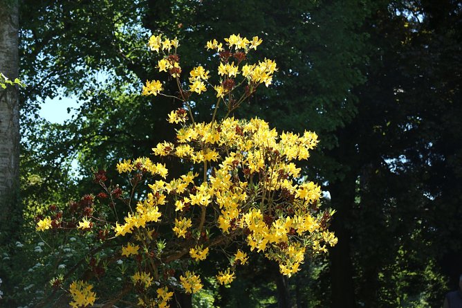 Wetterbild (Foto: agl) Wetterbild (Foto: agl)