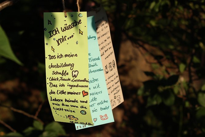 TANABATA 2023 in Japanischen Garten in Bad Langensalza (Foto: Eva Maria Wiegand)