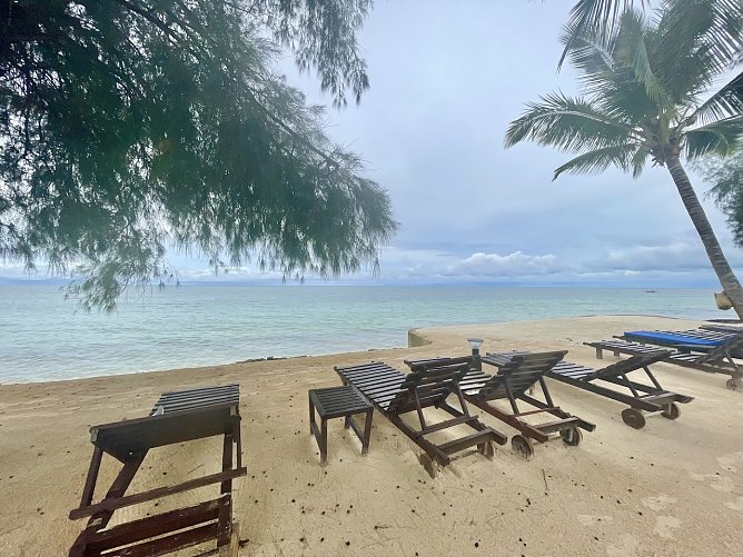 Highlights vom Strand auf Sansibar (Foto: Wendehost) Highlights vom Strand auf Sansibar (Foto: Wendehost)