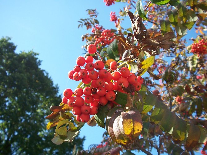 Wetterbild (Foto: agl) Wetterbild (Foto: agl)