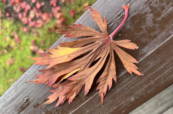 Es bleibt vorerst freundlich (Foto: oas)