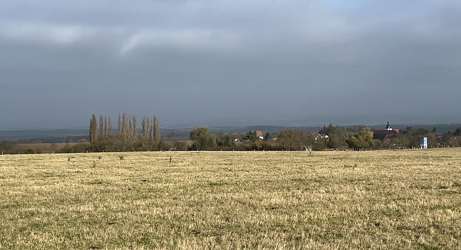 Weiter herbstliches Schmuddelwetter ohne Sonne (Foto: oas)