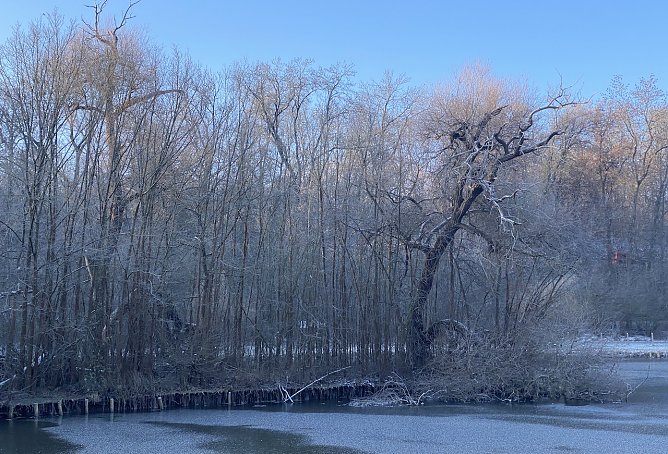 F&auml;llt doch die eine oder andre Schneeflocke an Heiligabend? (Foto: uhz Archiv)