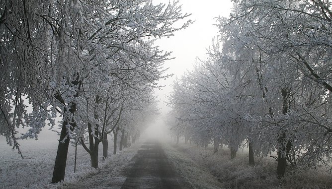 Winter in der Goldenen Aue (Foto: U.Reinboth) Winter in der Goldenen Aue (Foto: U.Reinboth)