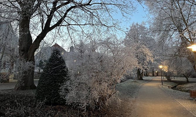 Frost und Gl&auml;tte bleiben wetterbestimmend (Foto: oas)