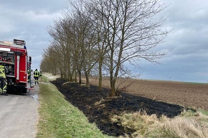 Brandstiftung an einer Böschung (Foto: Polizei) Brandstiftung an einer Böschung (Foto: Polizei)