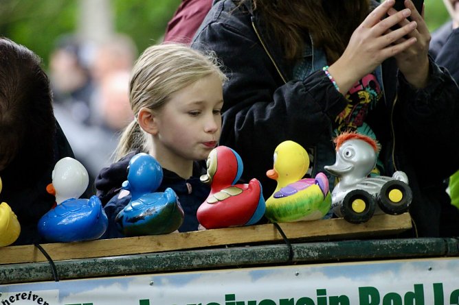 Entenrennen 2025 in Bad Langensalza mit dem Blick auf die Enten des vergangenen Jahres (Foto: Eva Maria Wiegand)