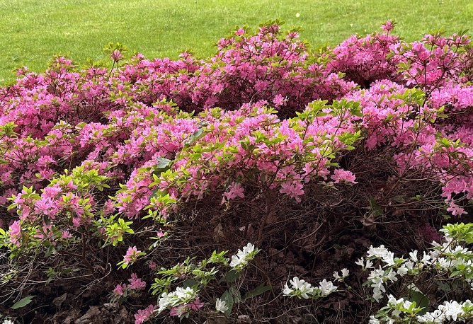 Gegen Abend kann wieder regen einsetzen (Foto: oas) Gegen Abend kann wieder regen einsetzen (Foto: oas)