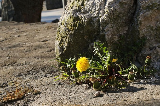 Wetterbild (Foto: agl)