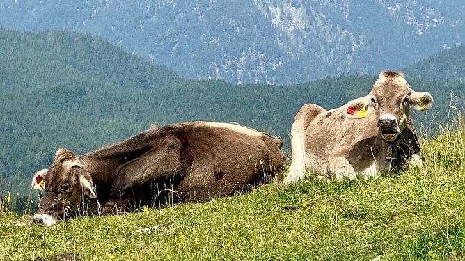 1. Waidring (Tirol) (Foto: Volker Weickert)