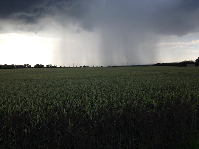 Das Wetterbild (Foto: nnz)