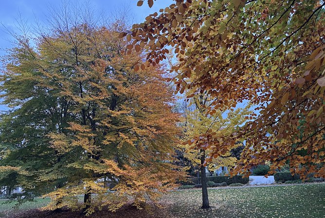 Ruhiges Herbstwetter am heutigen Feiertag (Foto: oas)