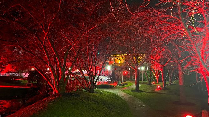 Wundervolle Lichterwelt im Japanischen Garten (Foto: Ilse R. M&ouml;ller)