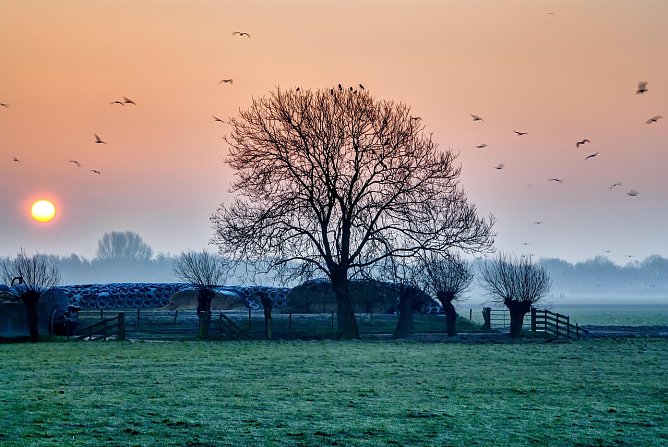 Wetterbild (Foto: pixabay.com) Wetterbild (Foto: pixabay.com)