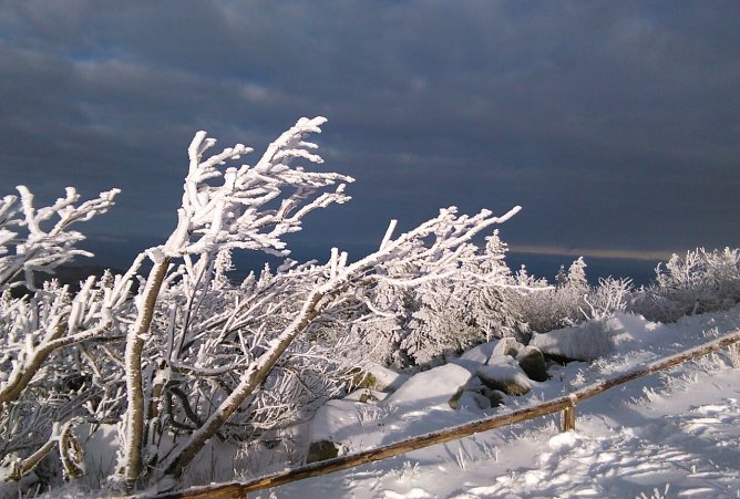 Wenig Hoffnung auf wei&szlig;e Weihnacht verhei&szlig;t der Wetterbericht (Foto: oas)