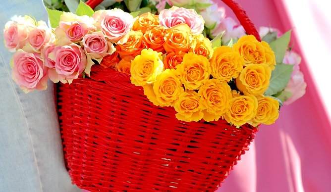 Rosen im Korb (Foto: emw)