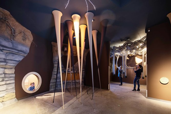 Die Wurzelh&ouml;hle macht das geheime Leben der B&auml;ume erlebbar.  (Foto: Michael Zilling)