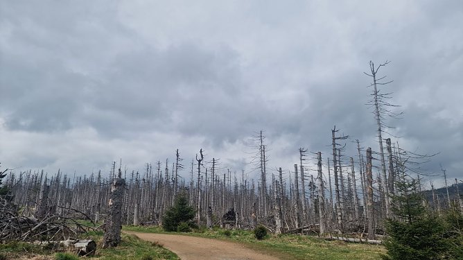 Wetterbild (Foto: agl)