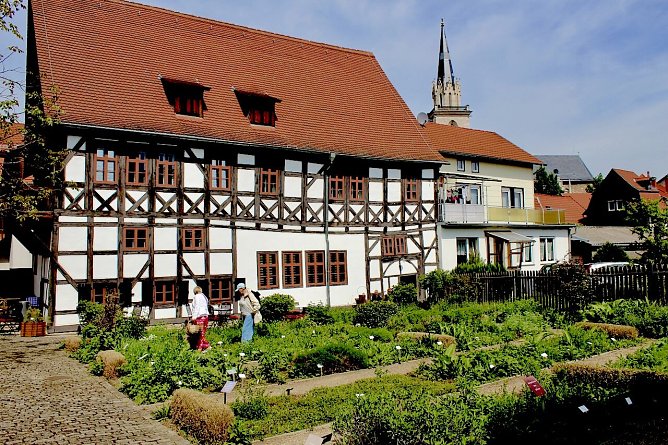 Museumsgarten im Apothekenmuseum in Bad Langensalza (Foto: Eva maria Wiegand) Museumsgarten im Apothekenmuseum in Bad Langensalza (Foto: Eva maria Wiegand)