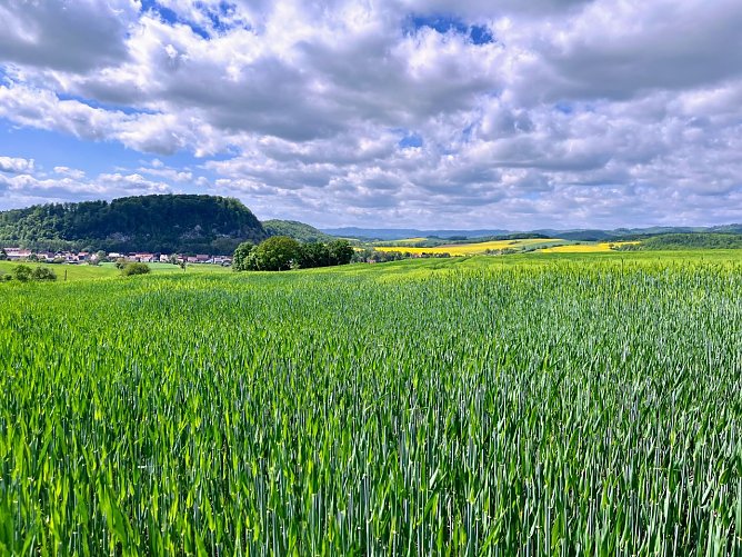Symbolbild Wetter (Foto: ssc)