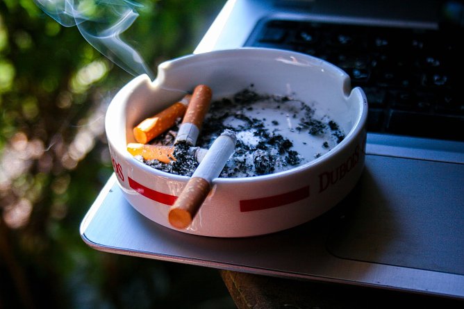 Kippen (Symbolbild) (Foto: Nabil Maaizi from Pixabay)