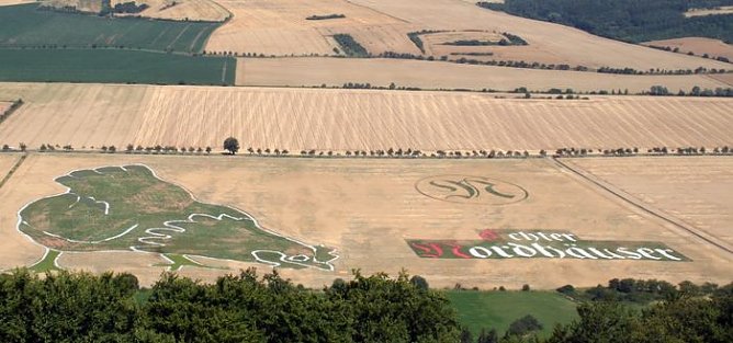 Die letzte Chance (Foto: privat)