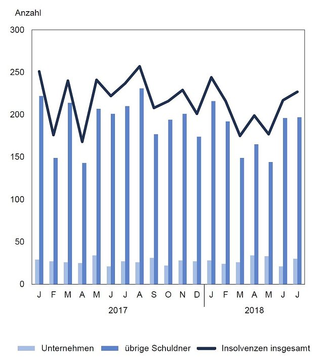 Bild: Gemeldete Insolvenzverfahren von Januar 2017 bis Juli 2018