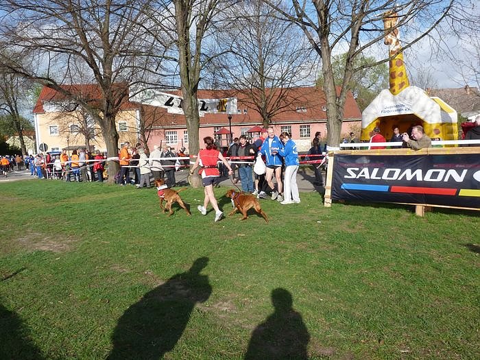 Kyffh&auml;userberglauf mit Rekordfeldern