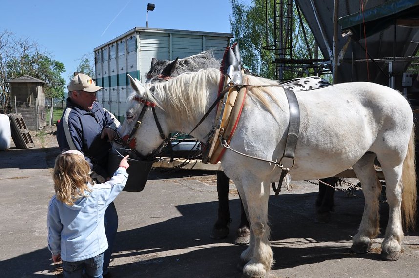 Fischfest in Auleben