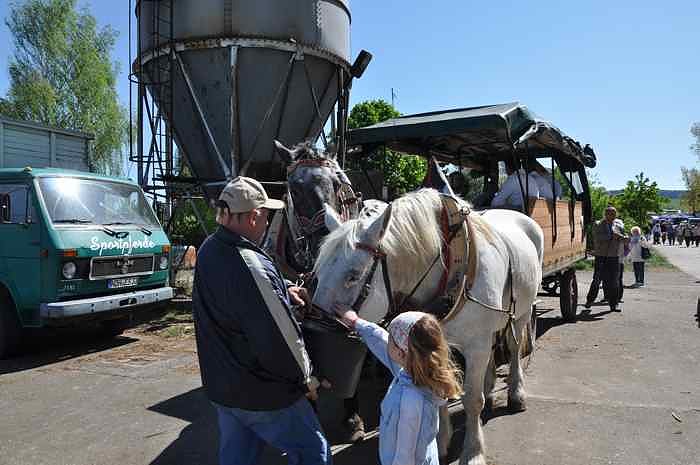 Fischfest in Auleben