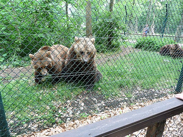 Auf dem Possen bei Sondershausen